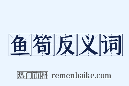 鱼笱反义词是什么意思的图片